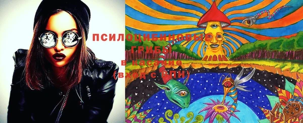 PSILOCYBIN Армянск